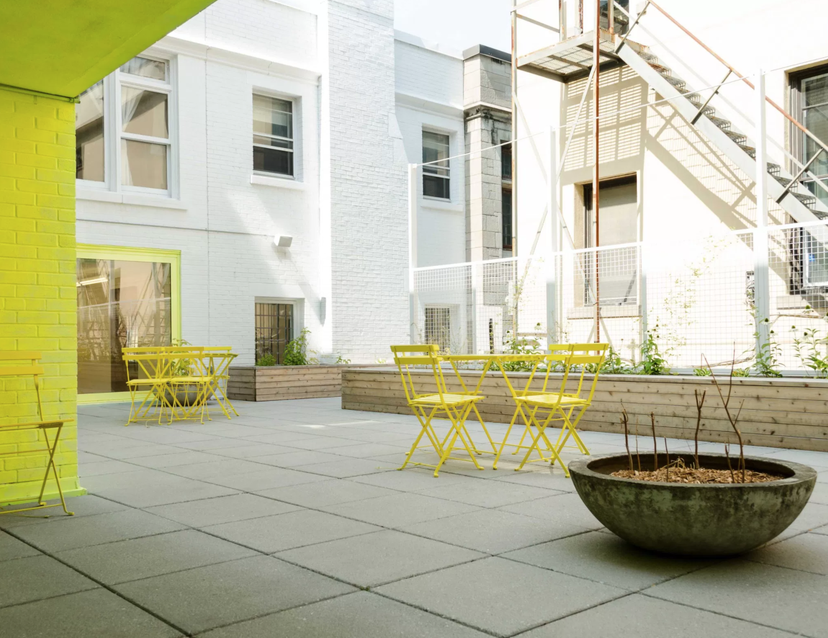 le Livart – photo 4, Montréal