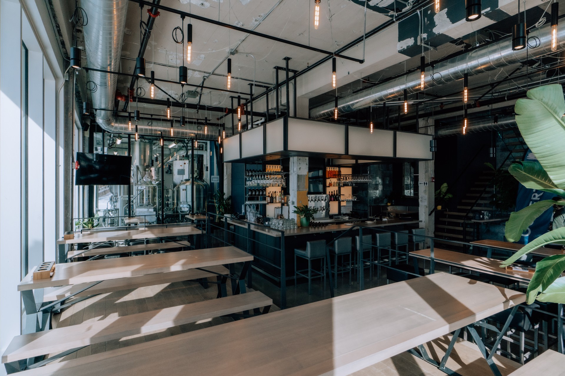 Aux Quartiers Belle Gueule – photo 3, Montréal, Ville-Marie