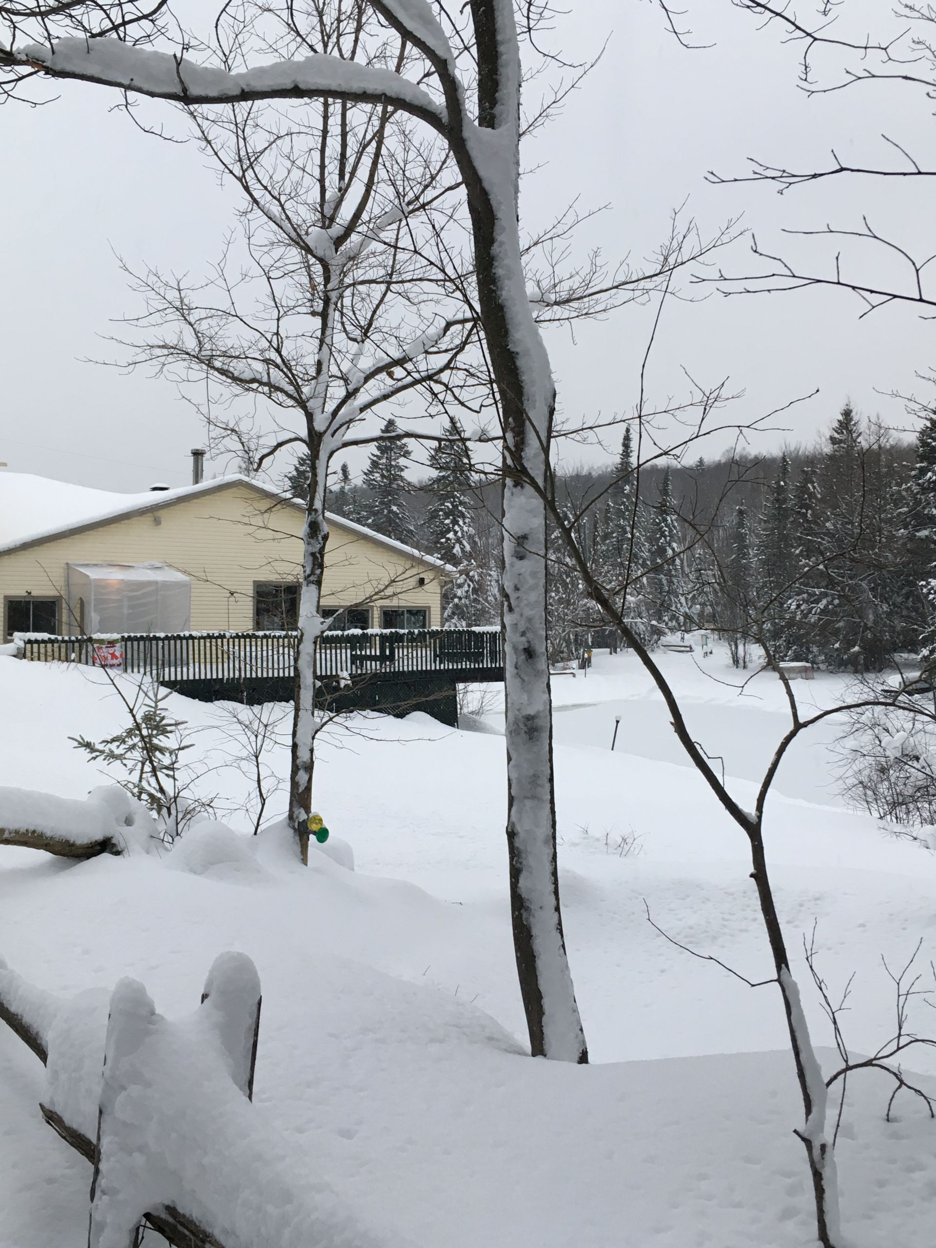 Domaine Notre-Dame – photo 8, Sainte-Catherine-de-la-Jacques-Cartier