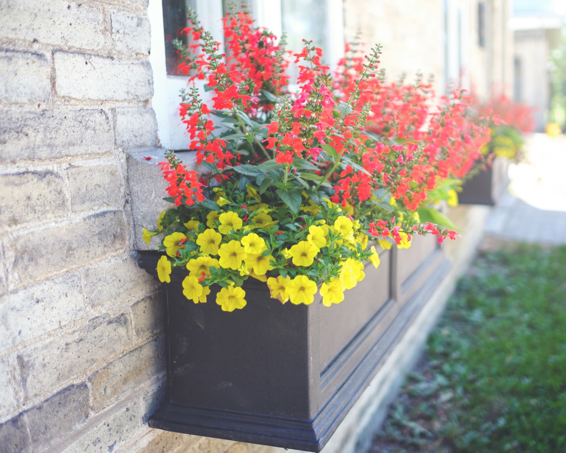 Parc du Bois-de-Coulonge - CCNQ – photo 7, Ville de Québec