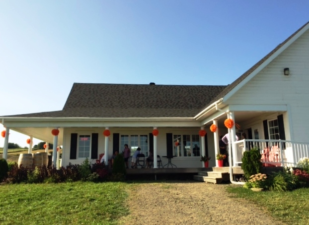 Vignoble Domaine L'Ange Gardien – photo 9, L’Ange-Gardien