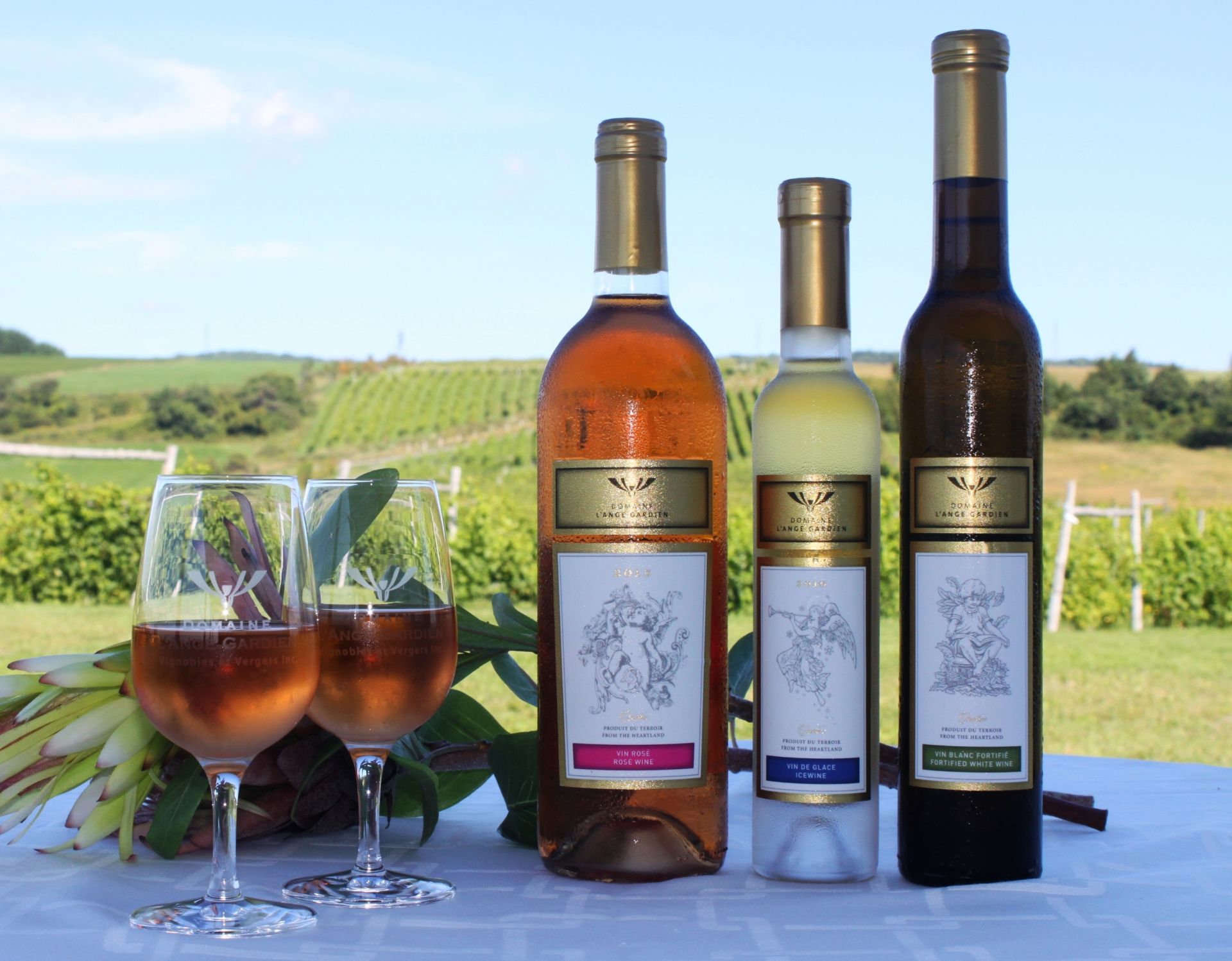 Vignoble Domaine L'Ange Gardien – photo 11, L’Ange-Gardien