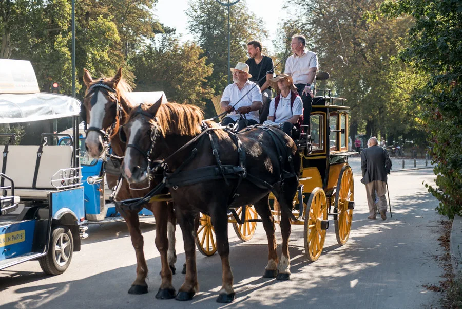 Rallye urbain d'équipe visite guidée Québec Basse-Ville Petit-Champlain · INNOV'events