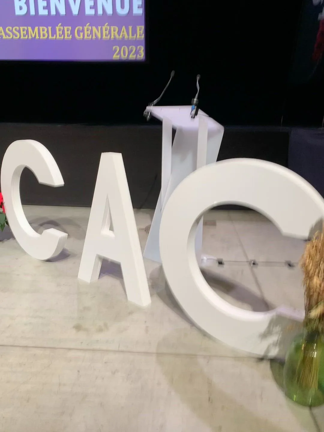 Corporate AGM in Quebec, plenary hall with natural light and river view · INNOV'events