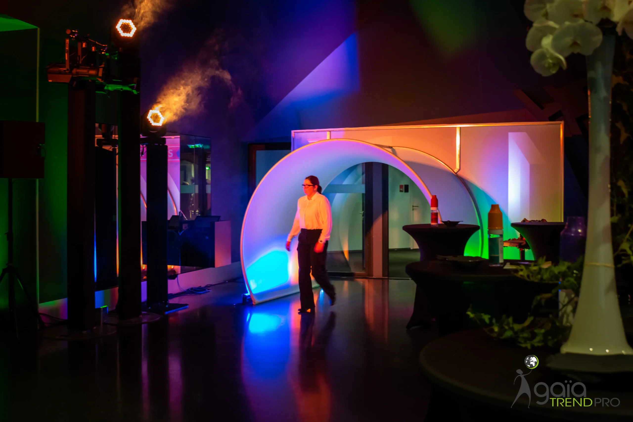 Spectacle corporatif entreprise Québec soirée gala Château Frontenac · INNOV'events