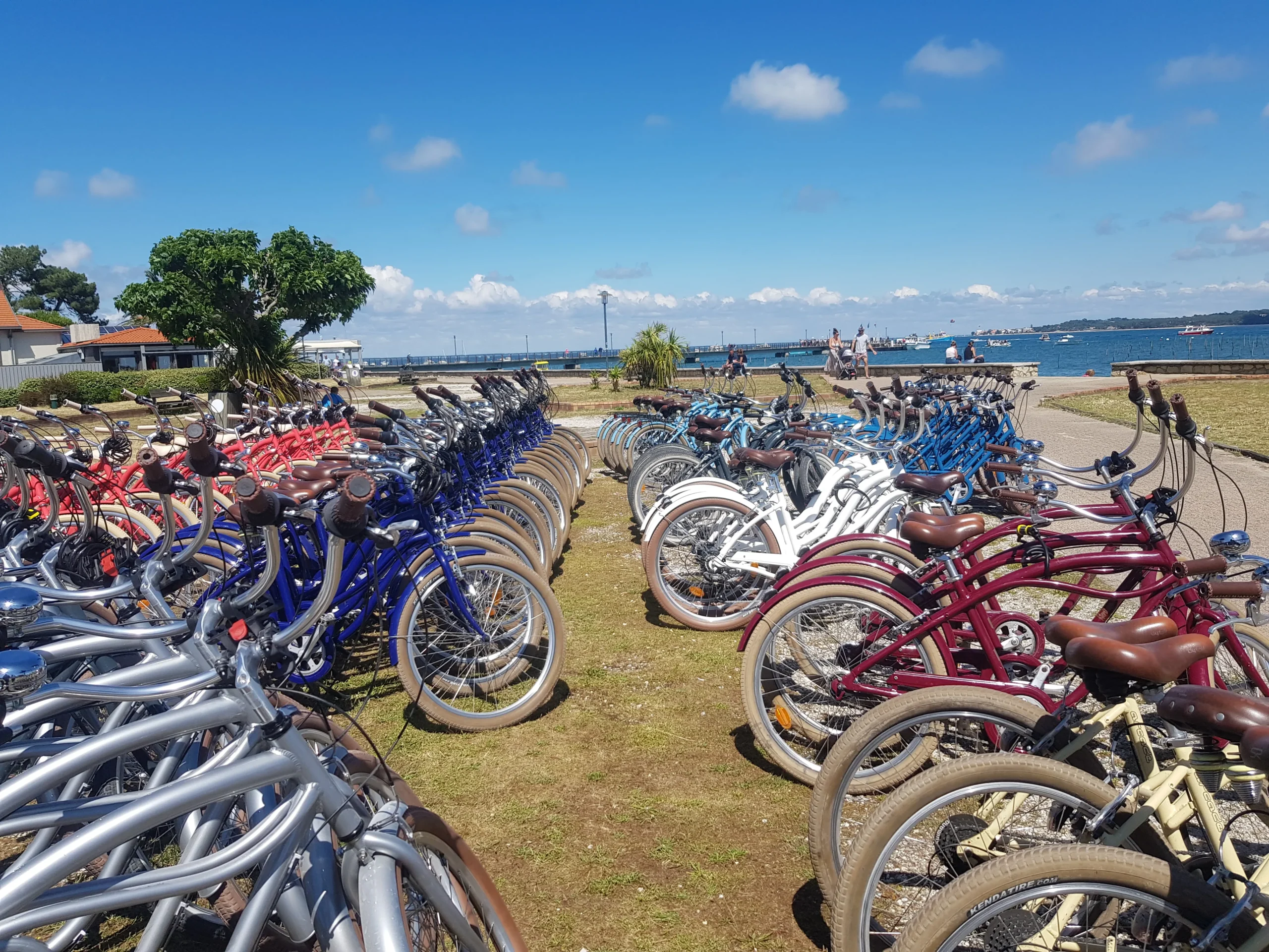 Dedicated multi-day fleet transport shuttle Montreal conference · INNOV'events